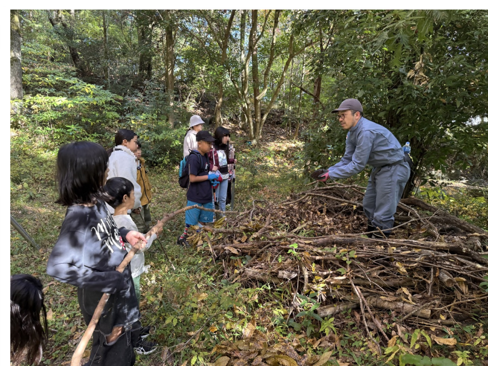裏山での自然体験プログラム