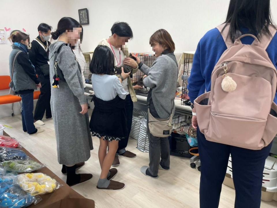 譲渡会での里親とのマッチング